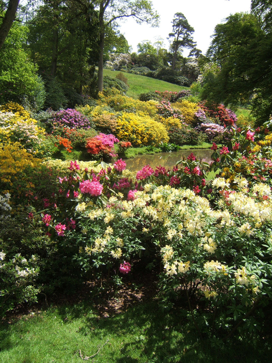 Leonardslee gardens ( )